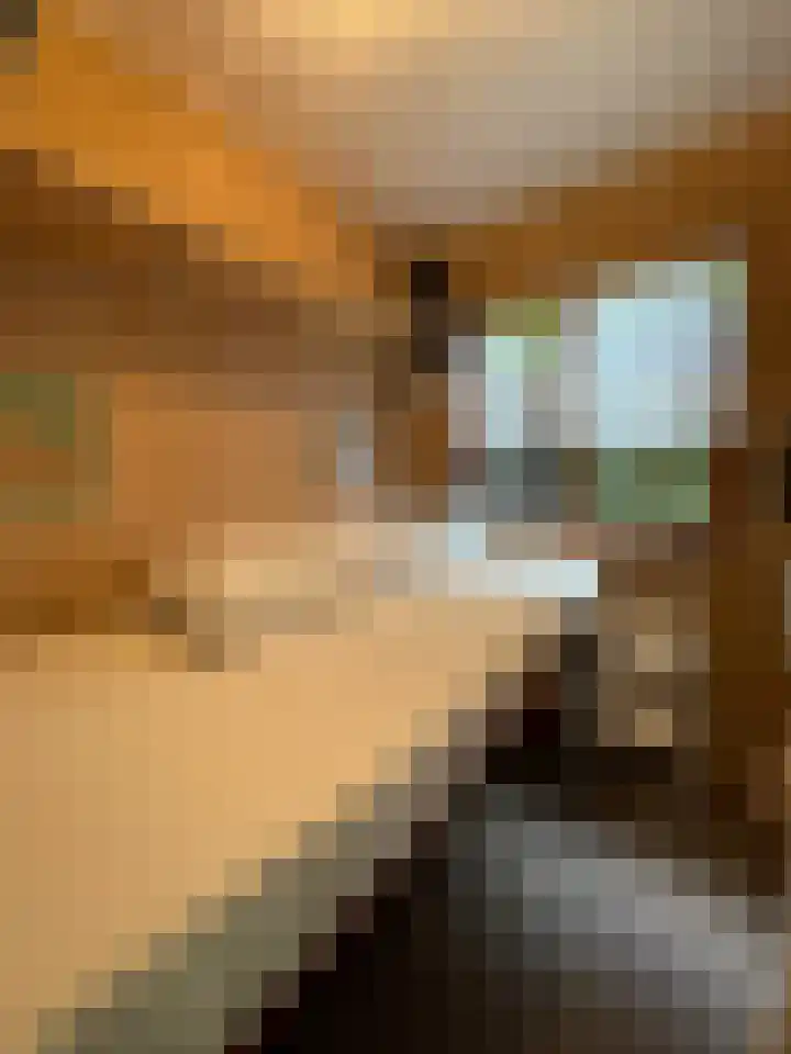 Looweg 10 36 Ermelo thumbnail 8