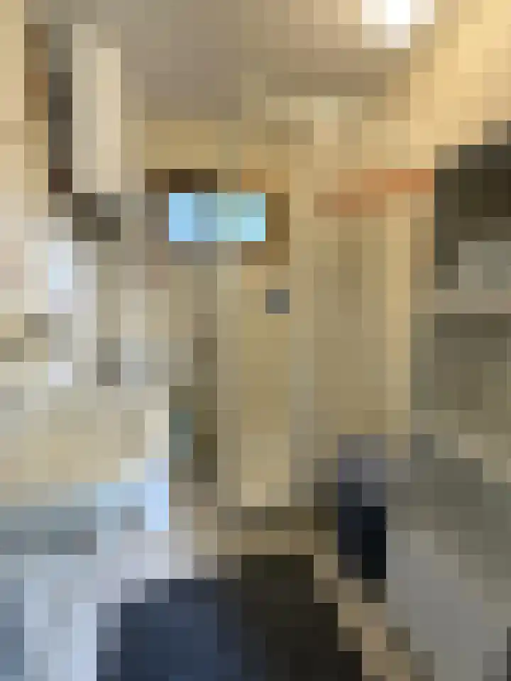 Looweg 10 36 Ermelo thumbnail 9