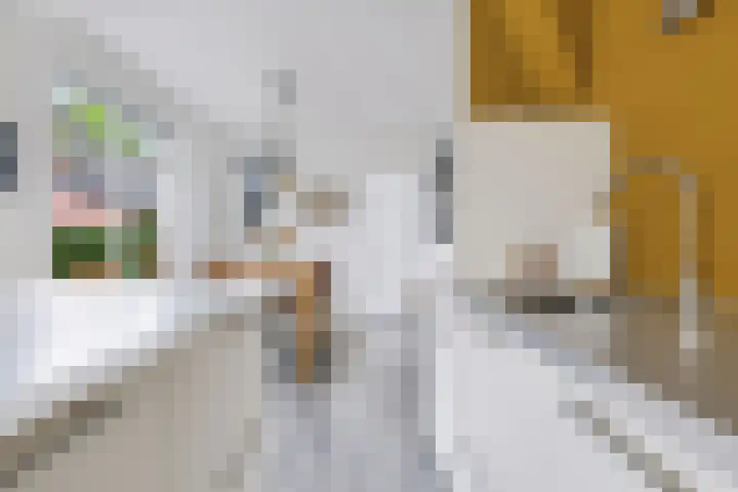 Looweg 10 Emmen thumbnail 10