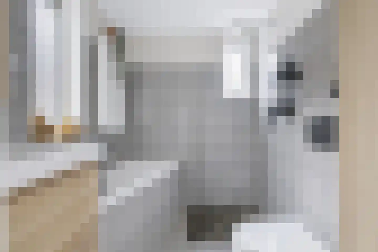 Looweg 10 Emmen thumbnail 20