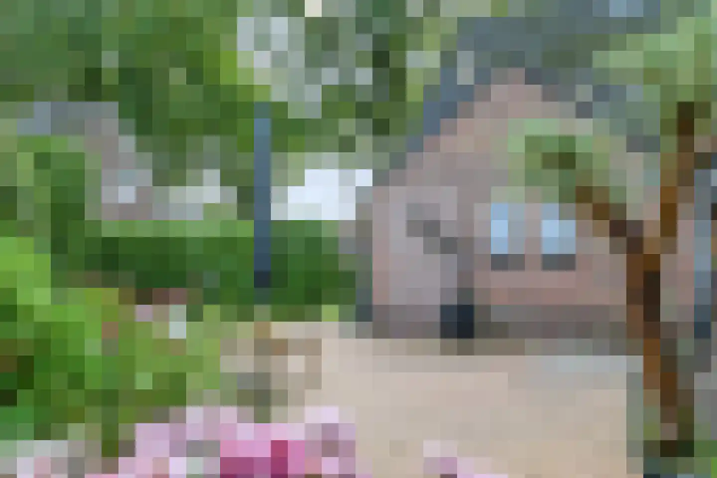 Looweg 10 Emmen thumbnail 35