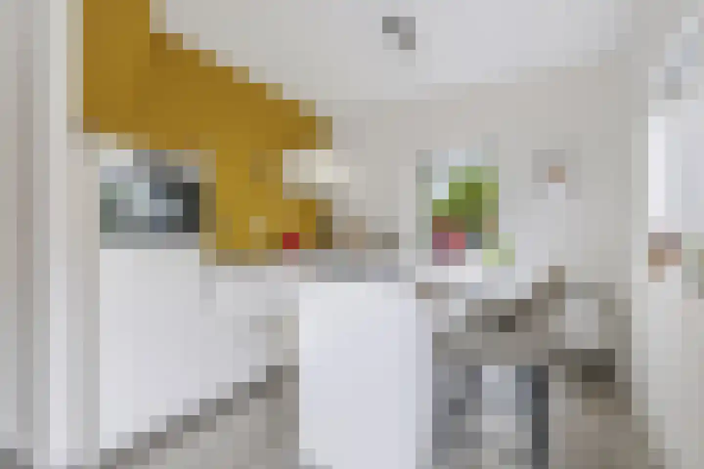 Looweg 10 Emmen thumbnail 4