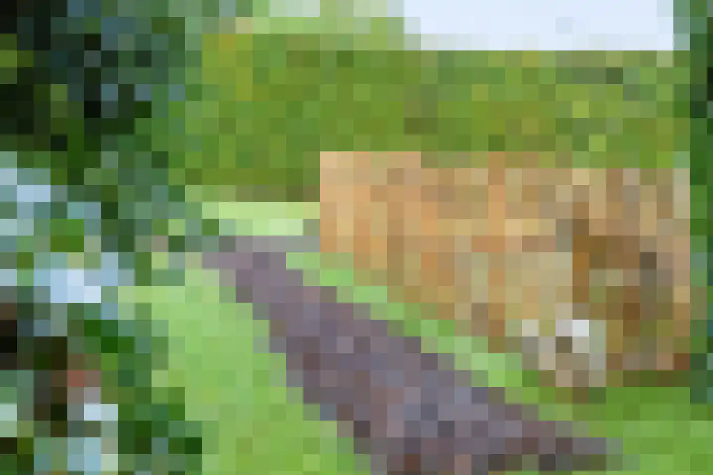 Looweg 10 Emmen thumbnail 40