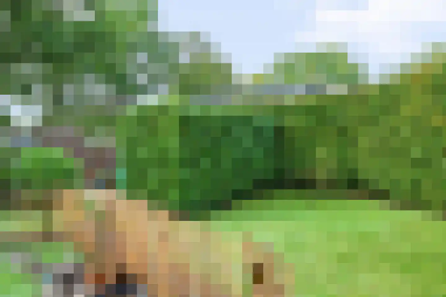 Looweg 10 Emmen thumbnail 43