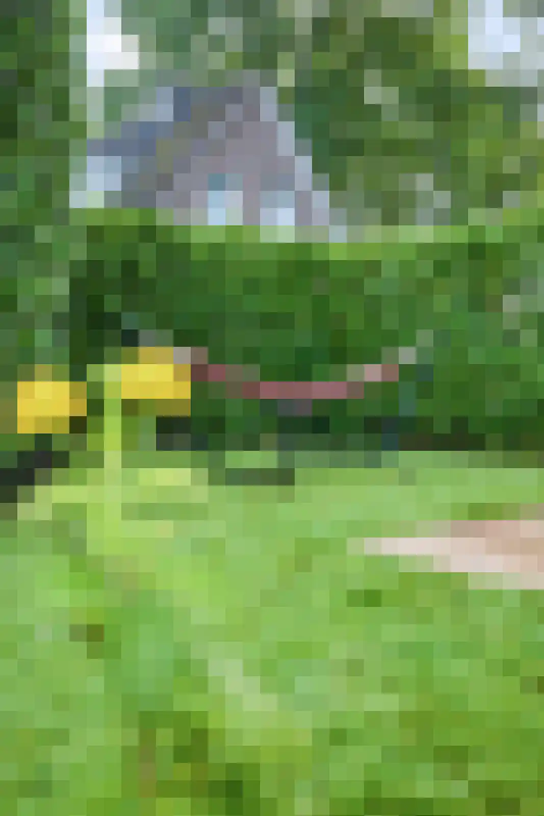 Looweg 10 Emmen thumbnail 45