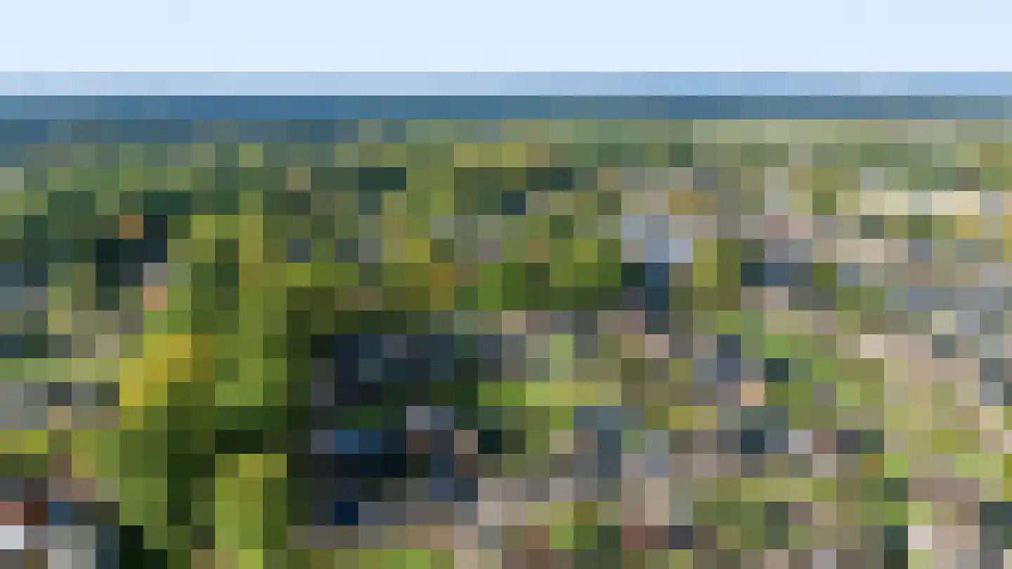 Looweg 10 Emmen thumbnail 60