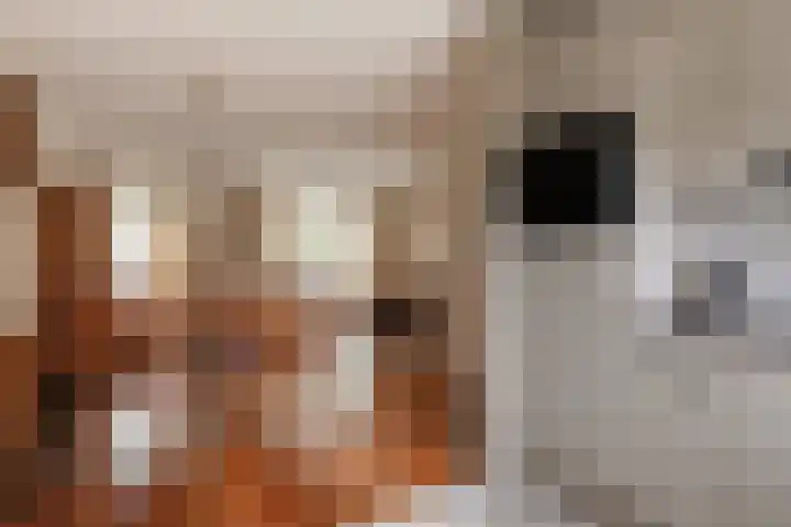 Looweg 13 Harreveld thumbnail 14