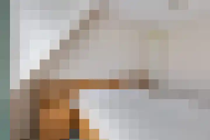Looweg 13 Harreveld thumbnail 19