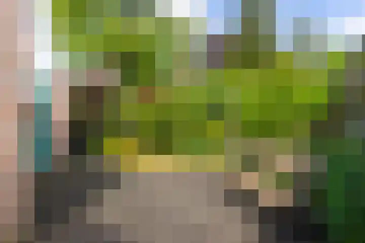Looweg 13 Harreveld thumbnail 37