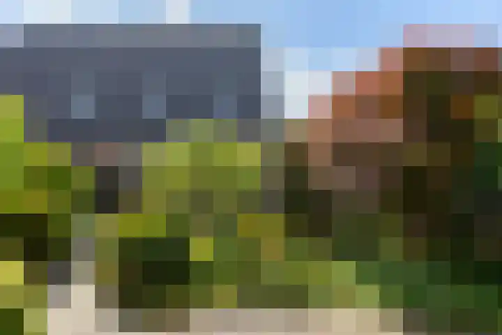 Looweg 13 Harreveld thumbnail 38