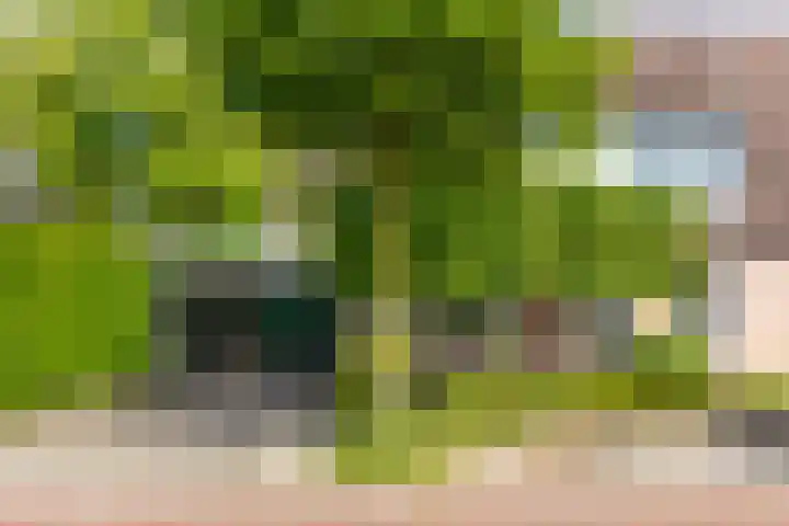 Looweg 13 Harreveld thumbnail 4