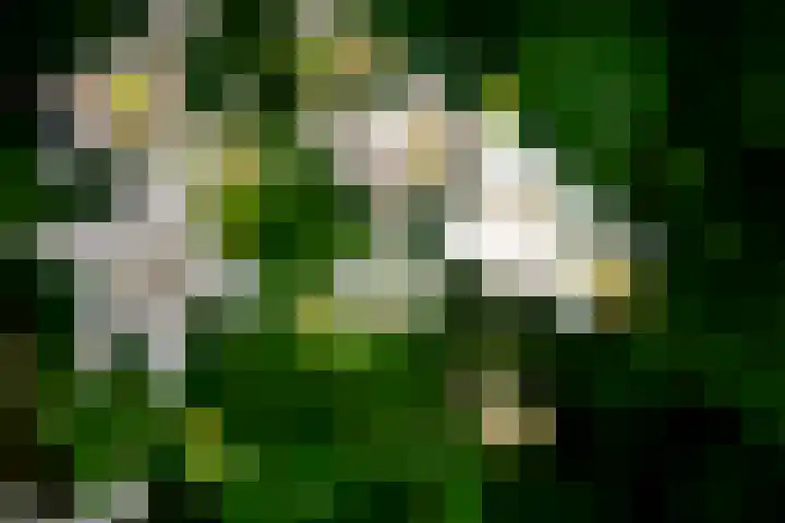 Looweg 13 Harreveld thumbnail 40