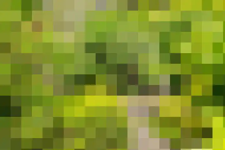 Looweg 13 Harreveld thumbnail 41