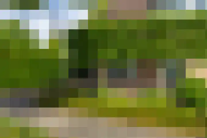 Looweg 13 Harreveld thumbnail 43
