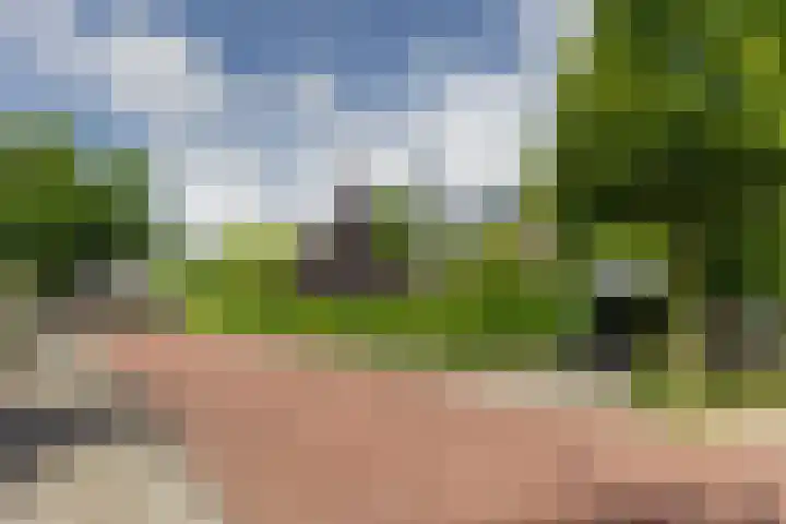 Looweg 13 Harreveld thumbnail 45