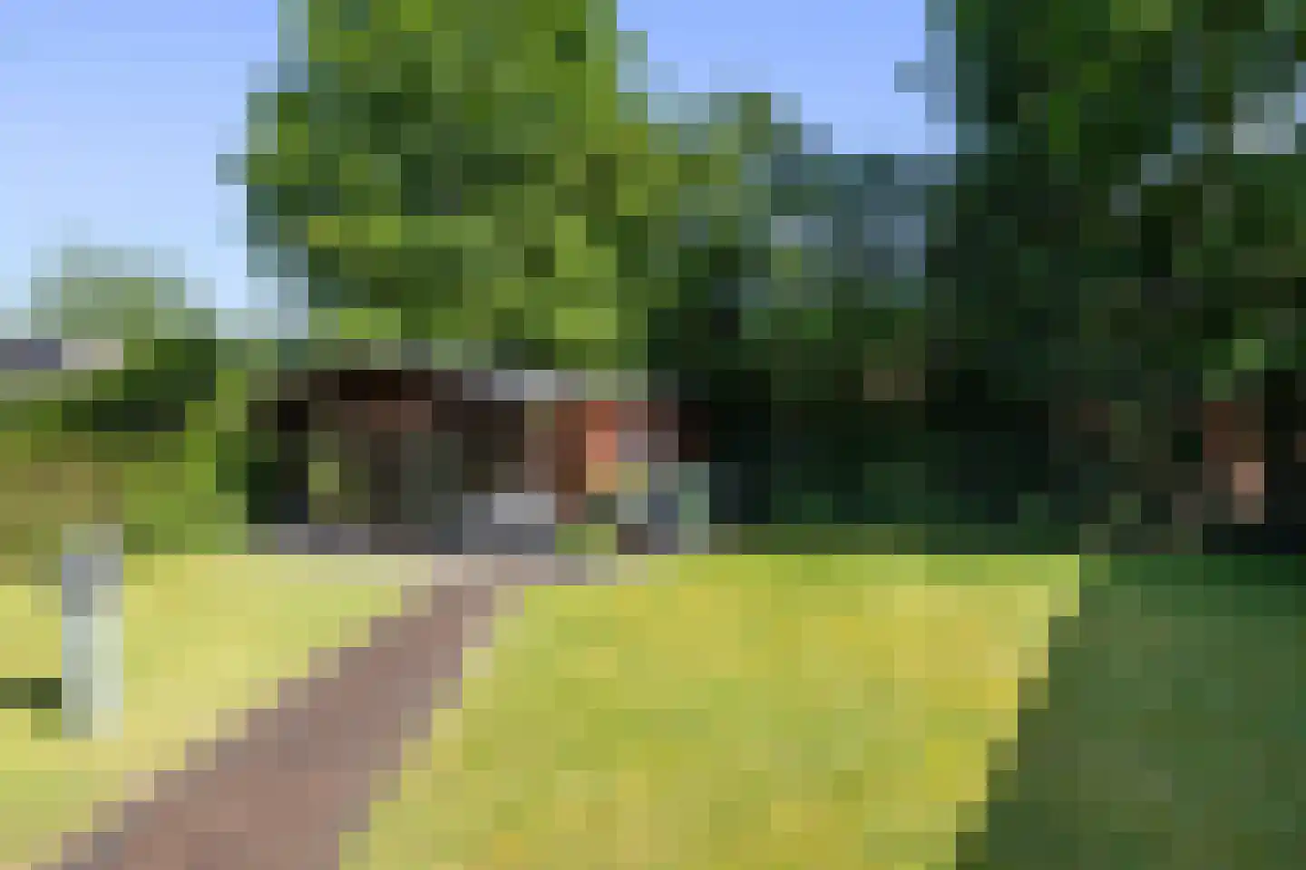 Looweg 19 Emmen thumbnail 11