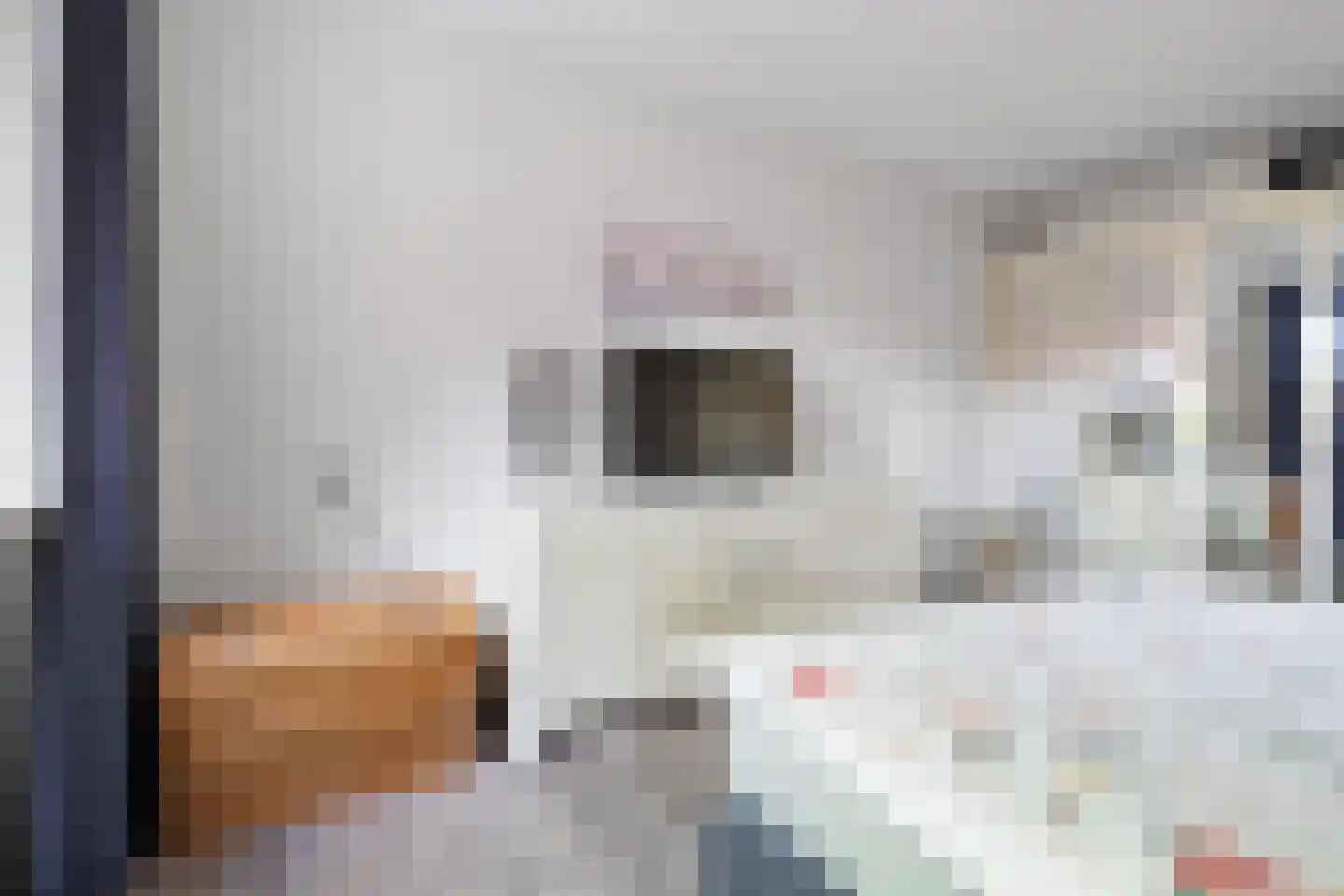 Looweg 19 Emmen thumbnail 33