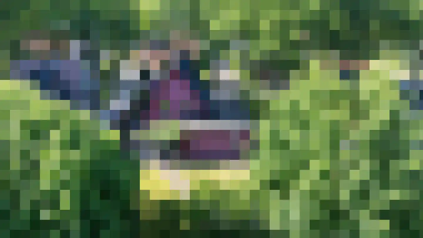 Looweg 19 Emmen thumbnail 4