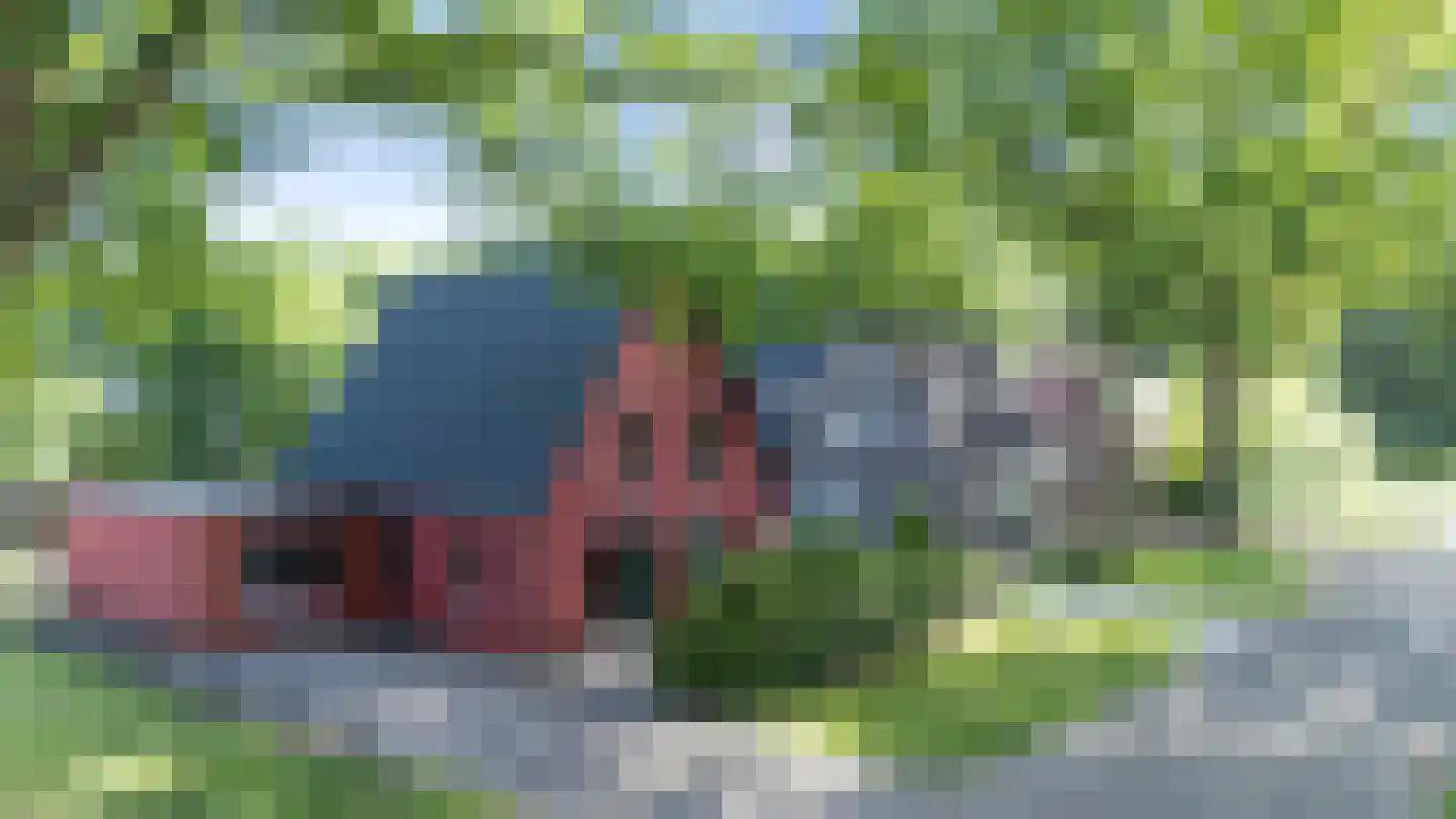 Looweg 19 Emmen thumbnail 5