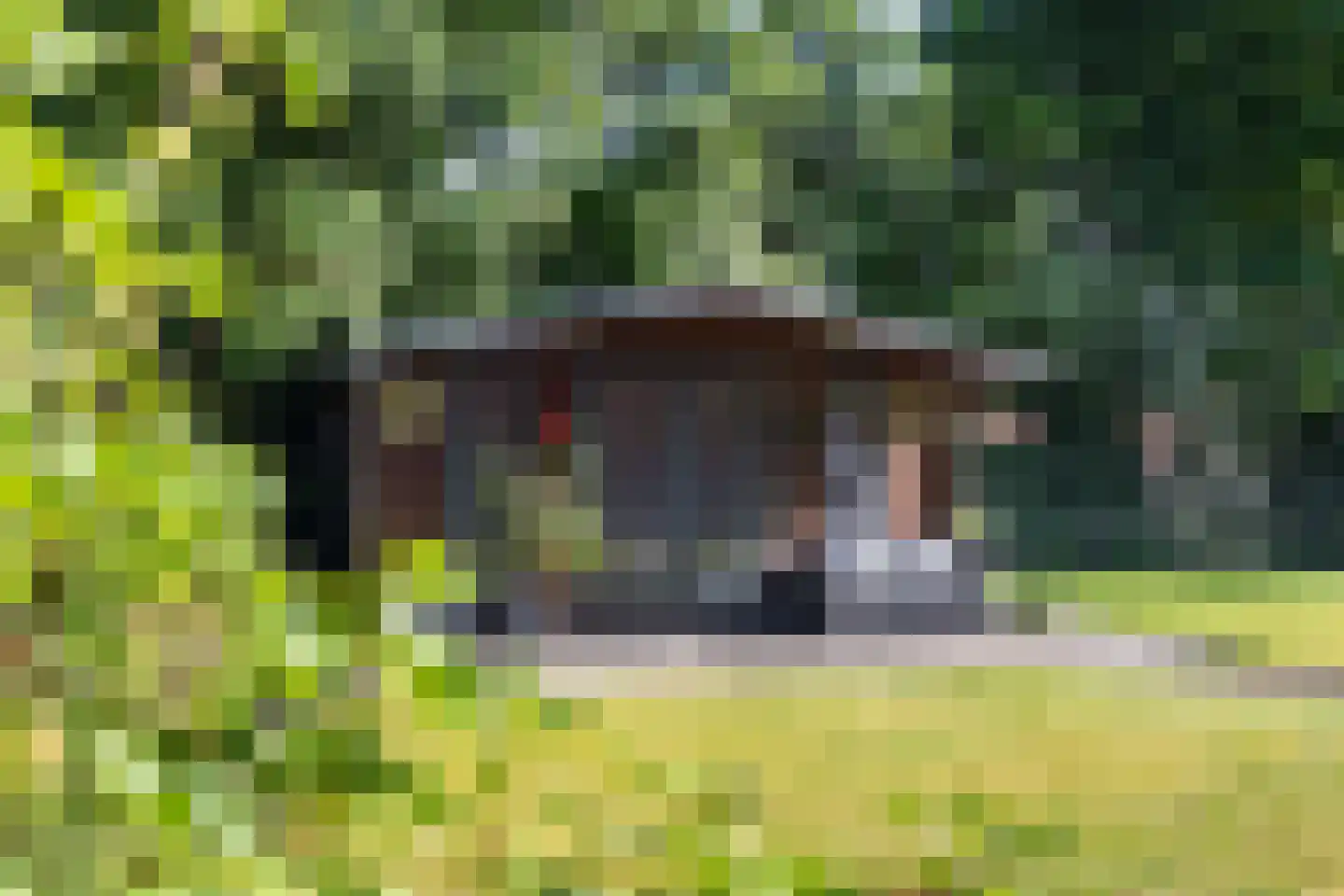 Looweg 19 Emmen thumbnail 8