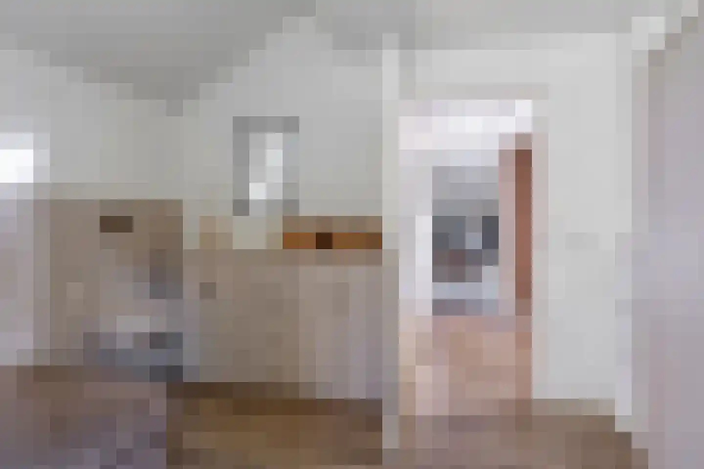 Looweg 2 c Hellendoorn thumbnail 14