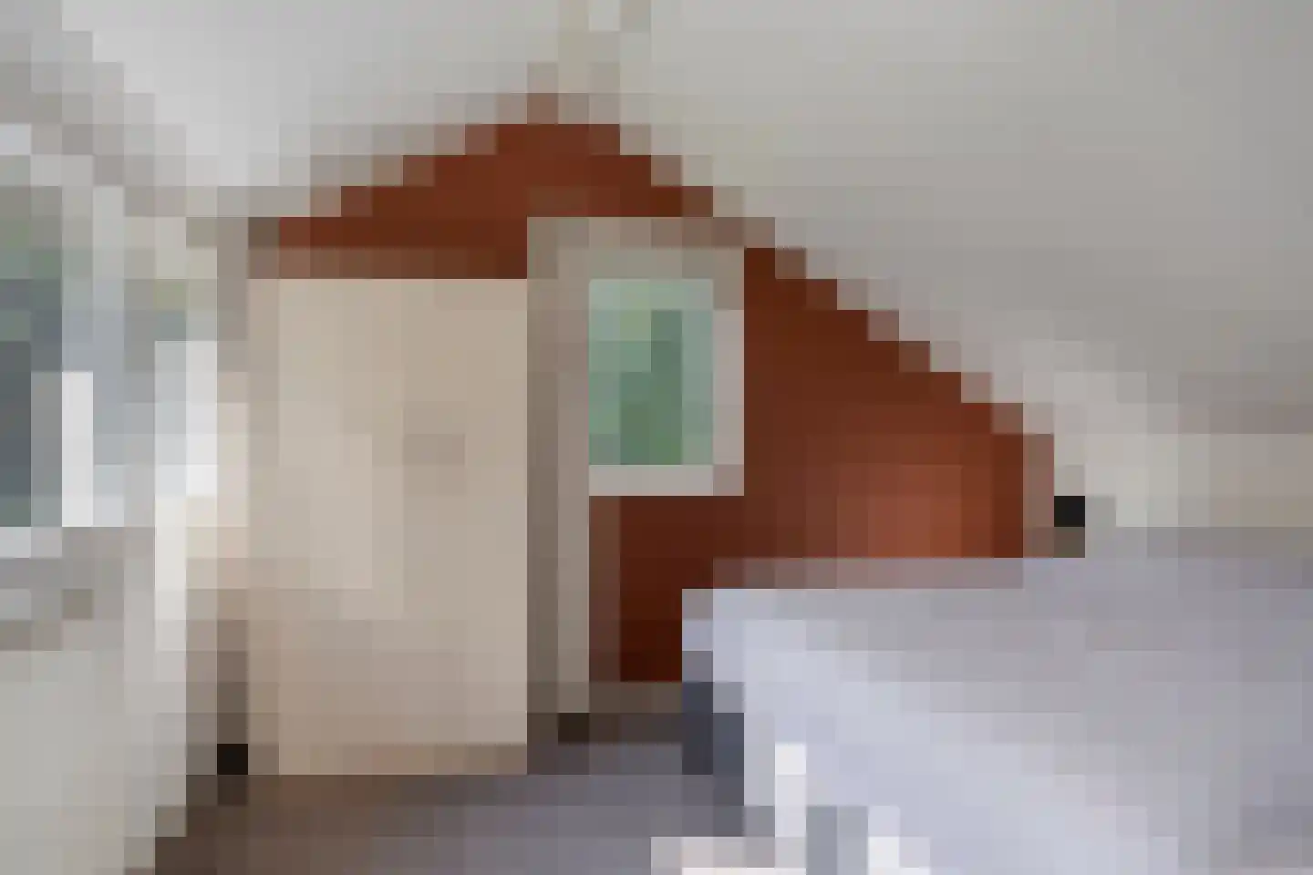 Looweg 2 c Hellendoorn thumbnail 20