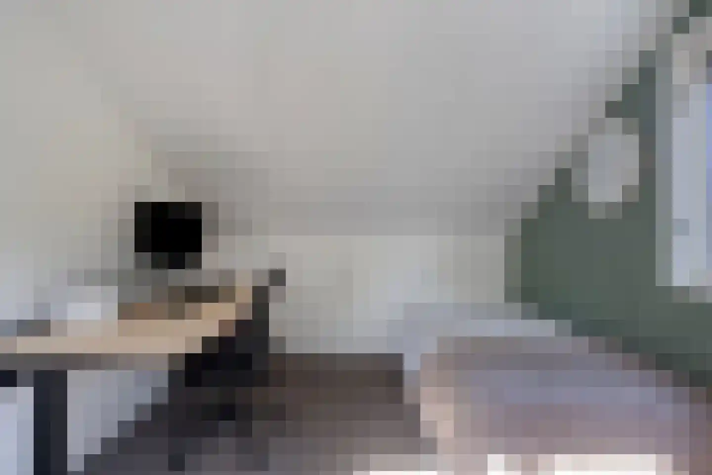 Looweg 2 c Hellendoorn thumbnail 22