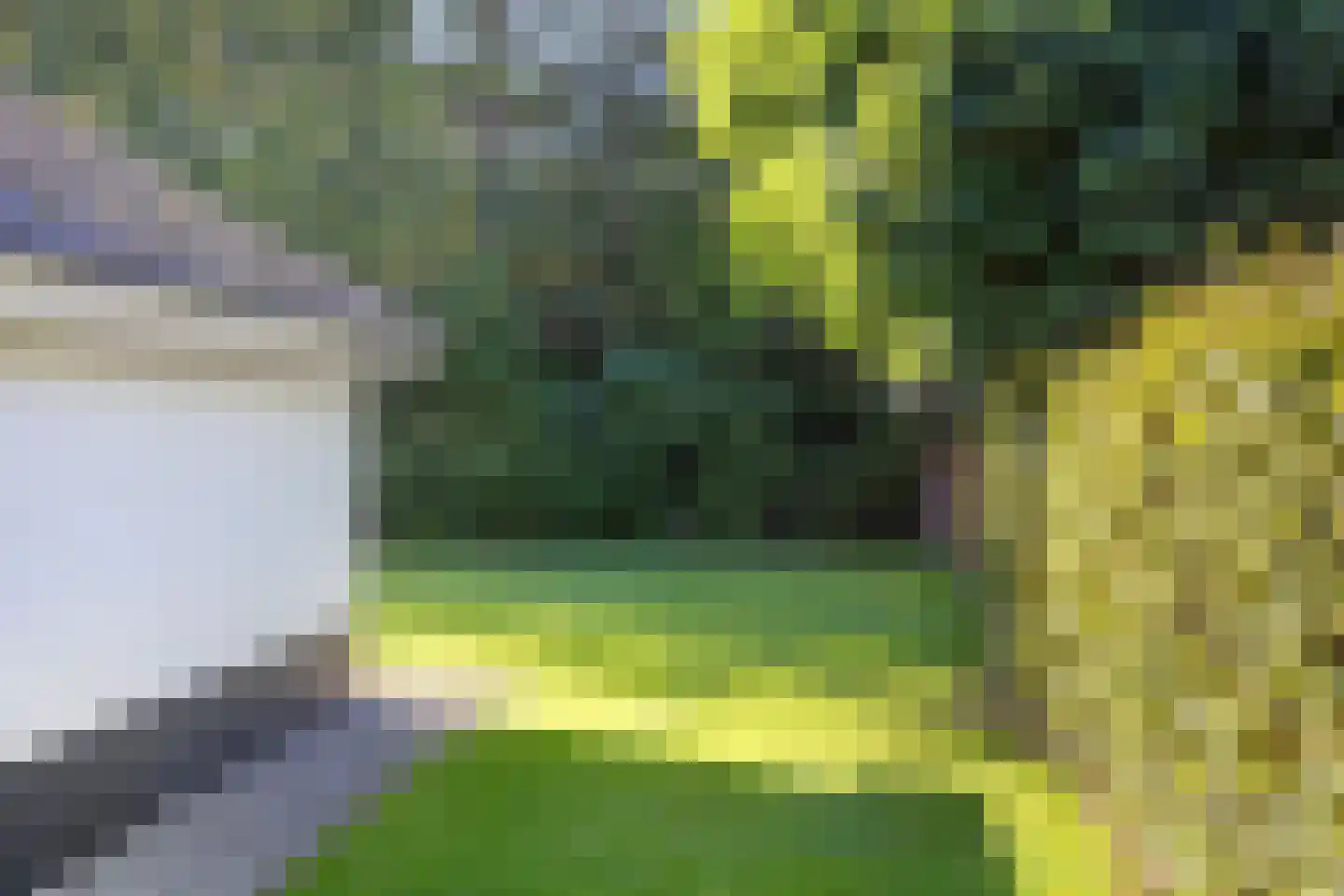 Looweg 2 c Hellendoorn thumbnail 24