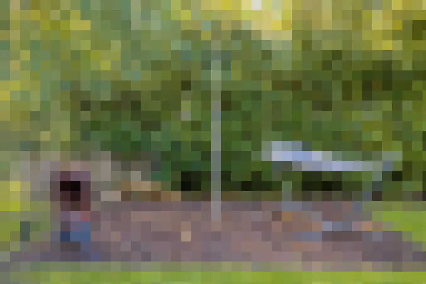Looweg 2 c Hellendoorn thumbnail 27