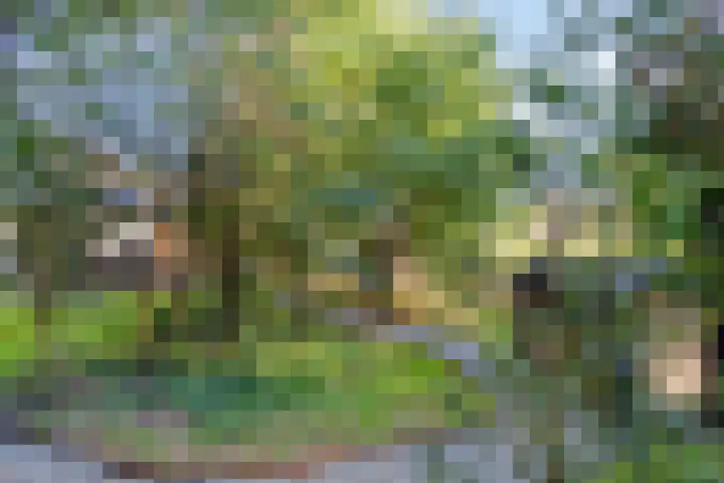 Looweg 2 c Hellendoorn thumbnail 29
