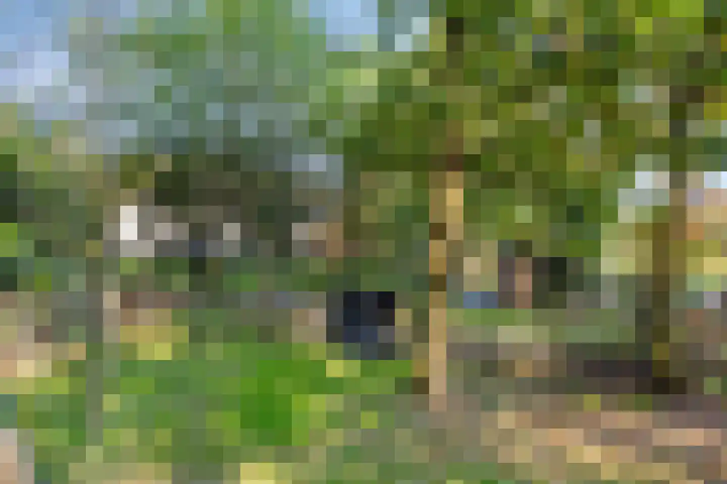 Looweg 2 c Hellendoorn thumbnail 30