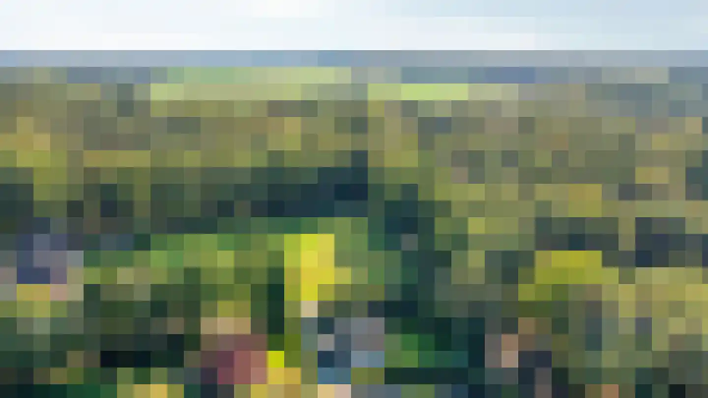 Looweg 2 c Hellendoorn thumbnail 36