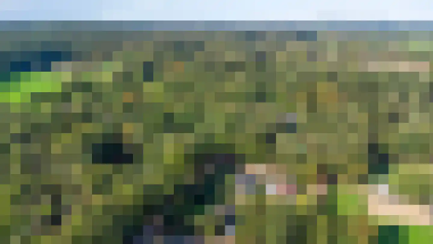 Looweg 2 c Hellendoorn thumbnail 38