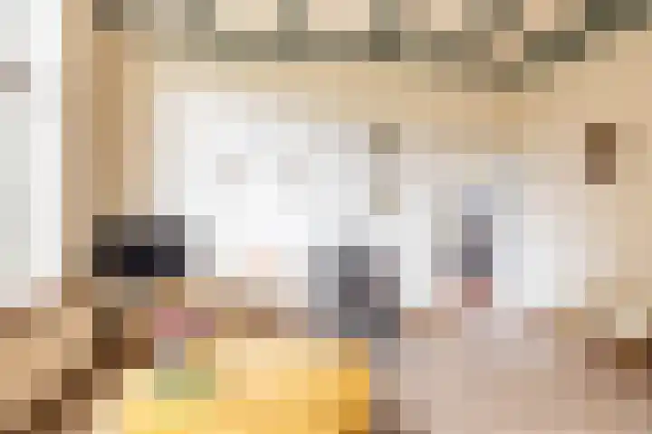 Looweg 2 Gasselte thumbnail 18