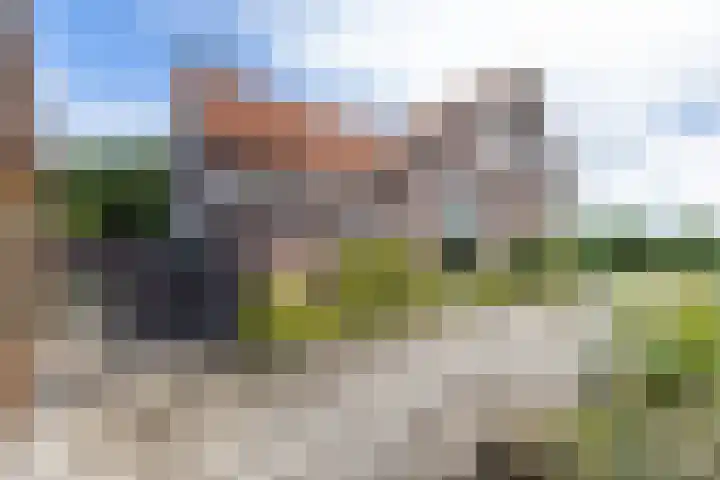Looweg 2 Gasselte thumbnail 4