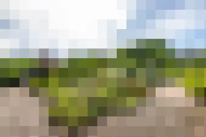 Looweg 2 Gasselte thumbnail 40