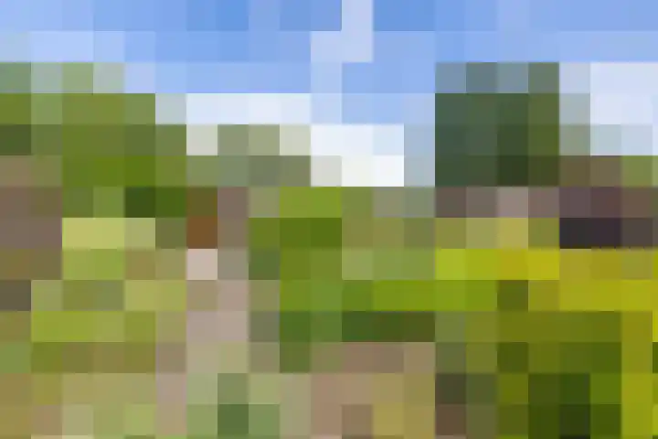 Looweg 2 Gasselte thumbnail 41