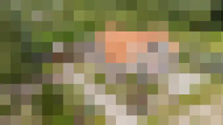 Looweg 2 Gasselte thumbnail 51