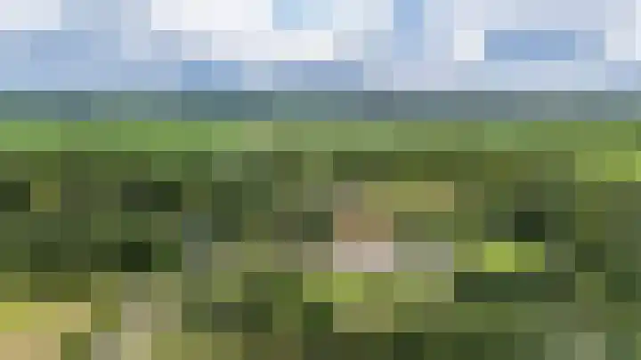 Looweg 2 Gasselte thumbnail 53