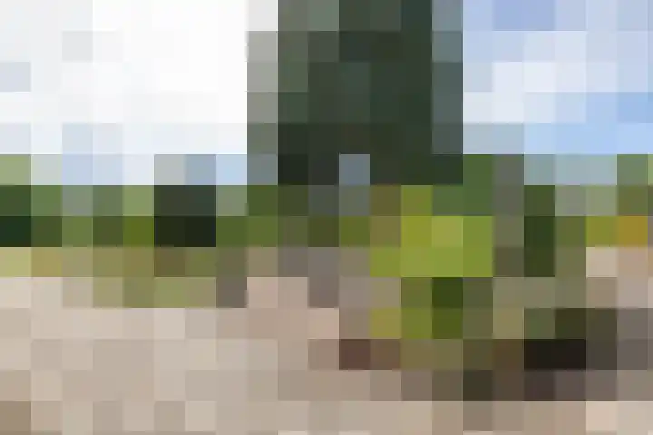 Looweg 2 Gasselte thumbnail 7