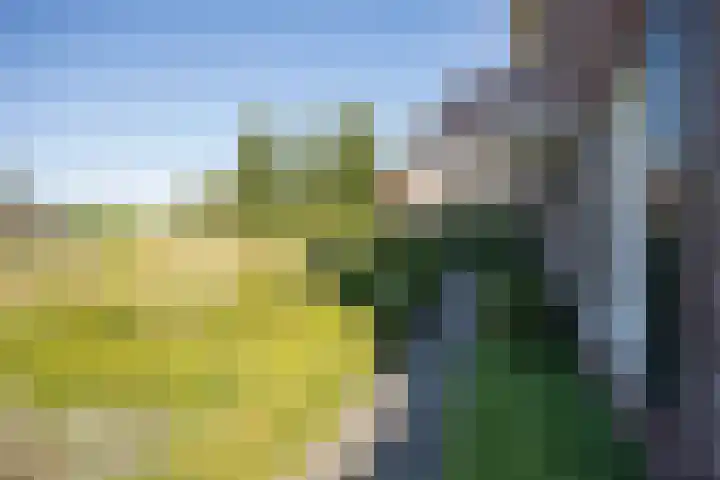 Looweg 36 Wierden thumbnail 10