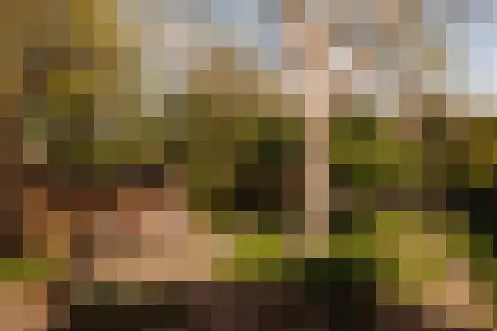 Looweg 36 Wierden thumbnail 114