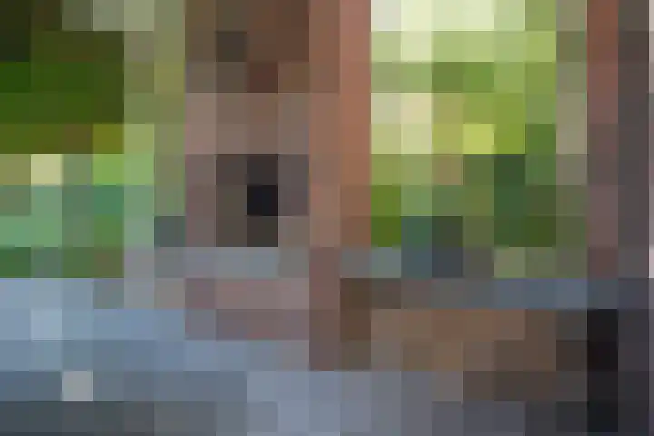 Looweg 36 Wierden thumbnail 14