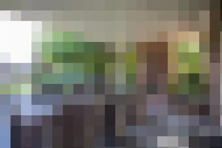 Looweg 36 Wierden thumbnail 15