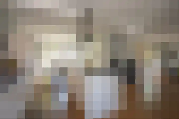Looweg 36 Wierden thumbnail 21
