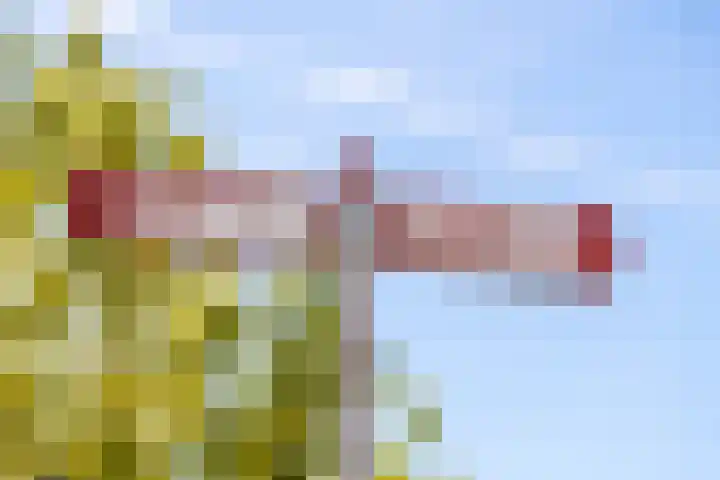 Looweg 36 Wierden thumbnail 26