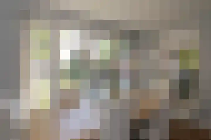 Looweg 36 Wierden thumbnail 31