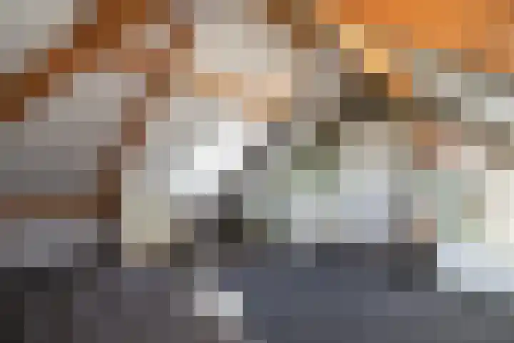 Looweg 36 Wierden thumbnail 55
