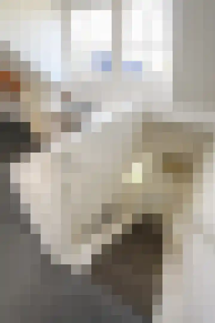 Looweg 36 Wierden thumbnail 58