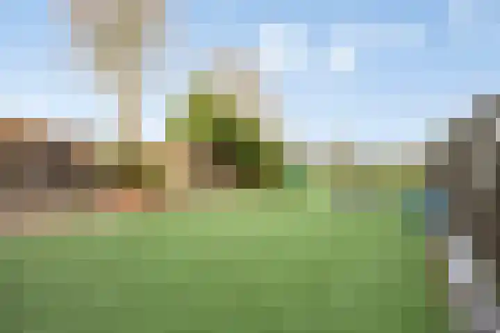Looweg 36 Wierden thumbnail 64